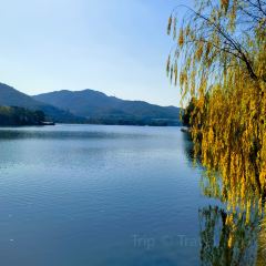 湘湖逍遥庄园·松涧堂 User Photo