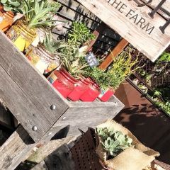 The Potting Shed at The Grounds User Photo