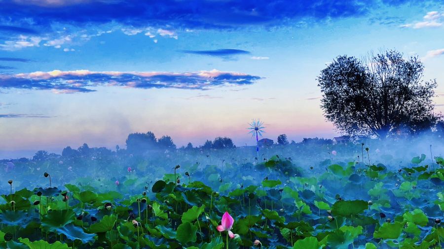 潘铺生态休闲农庄