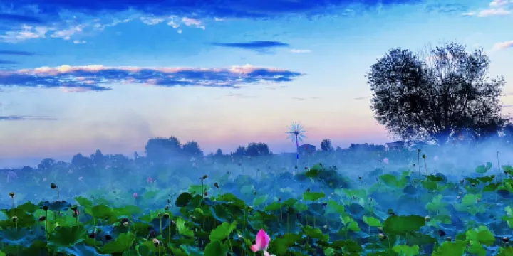 潘鋪生態休閑農莊