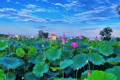 潘铺生态休闲农庄