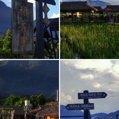 相约小筑东南亚文化餐厅(孟定店) User Photo