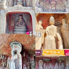 小唐核桃饼 User Photo