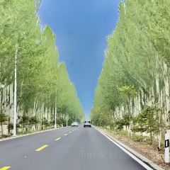 红果果辣糊糊(银川旗舰店) User Photo