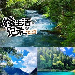 川渝味腊排铜锅家常菜(街子古镇店) User Photo