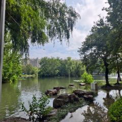 清溪莊張用戶圖片