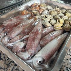 咖利树饭店 User Photo