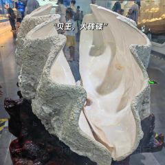Jia jun ba bao niu za 여행 사진