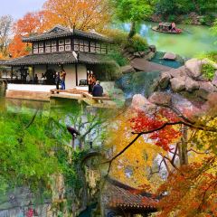 Do Do Do Porridge User Photo