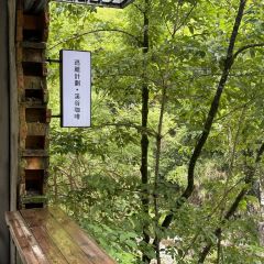Wiwild逃离计划1·溪谷咖啡(泰顺店) User Photo