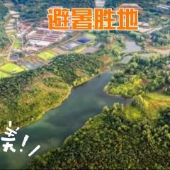 黃栗樹生態美食土菜館張用戶圖片