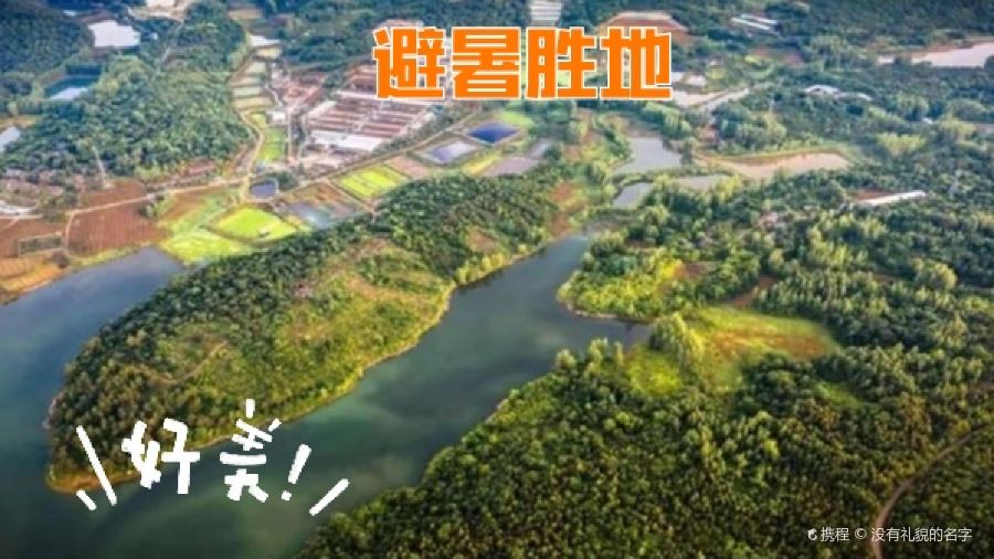 黃栗樹生態美食土菜館