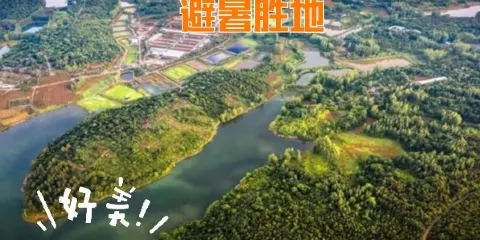 黃栗樹生態美食土菜館