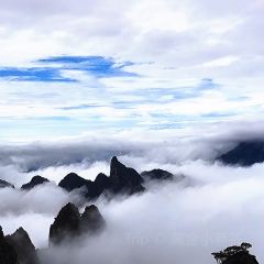 LAO MA CAI User Photo