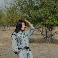 六月瓣咖啡 User Photo