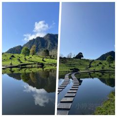 Pan Liu Niang User Photo