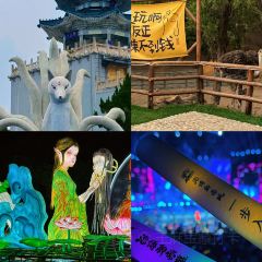 WEIDAOJIA MAMACAI User Photo