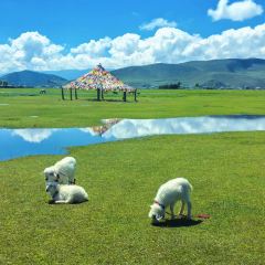 Qianxue RESTAURANT User Photo