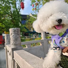 阗福斋(惠山古镇店) User Photo