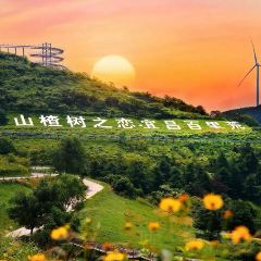 三七砂锅 User Photo