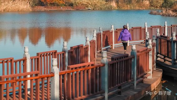 Cixi Forest Park
