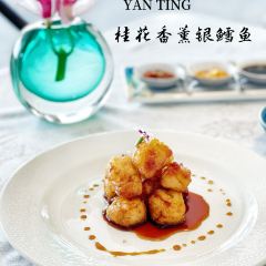YAN TING User Photo