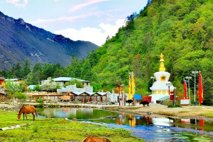 山野Bistro(下雨崩店)