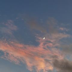 Orangutan Bunker User Photo