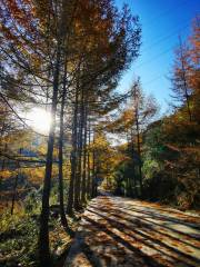 Xuebao Mountain National Forest Park