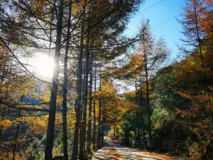 Xuebao Mountain National Forest Park