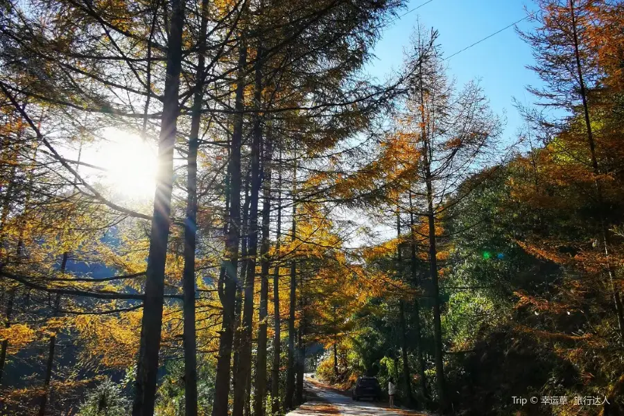 Xuebao Mountain National Forest Park