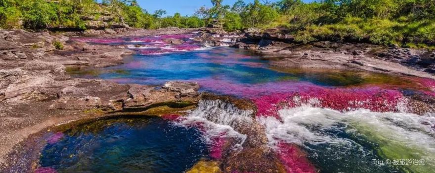 Cano Cristales
