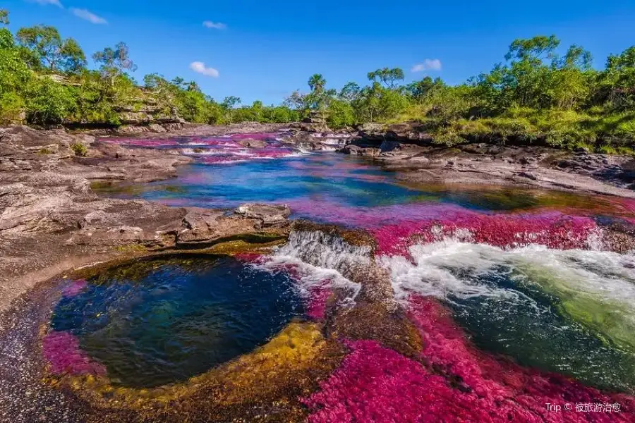 Cano Cristales