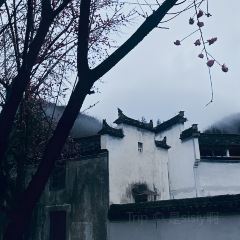 汪一挑馄饨(西递古村景区店) User Photo