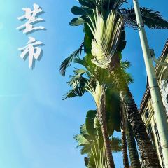 甘英泡鸡脚店 User Photo