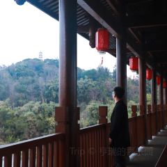 韩兴鱼丸店 User Photo