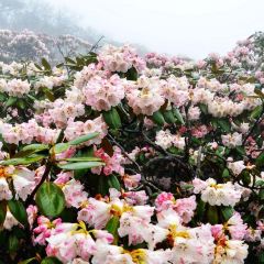 梨园三道菜 User Photo