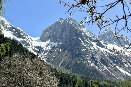 红房子丑丑饭店