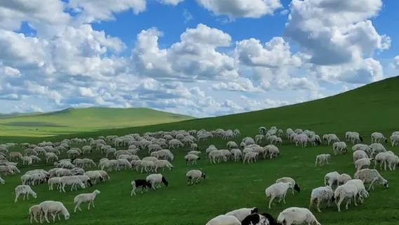 Zhalute Mountain Grassland Tourist Area