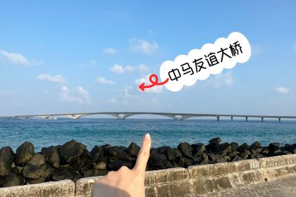 The Manhattan Fish Market