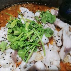 漁哥活魚張用戶圖片