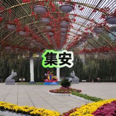 集安明城高丽火盆 User Photo