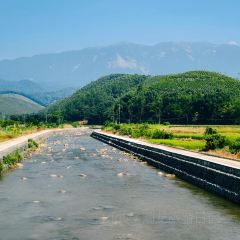 泉記燒鵝張用戶圖片