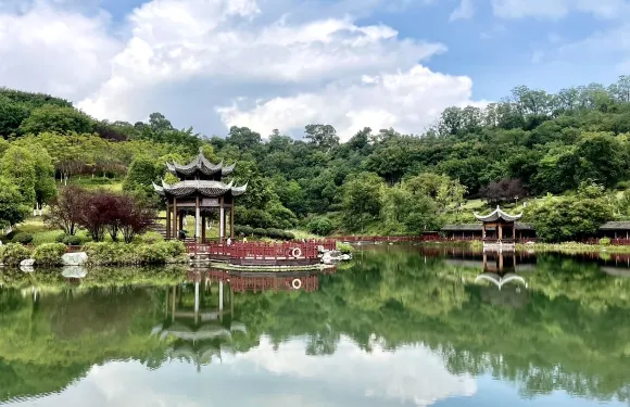 面不改色內江水葉子面