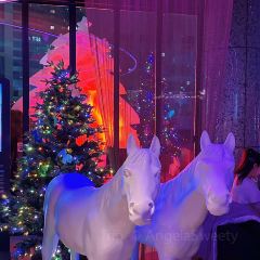 MAX SHANGHAI User Photo