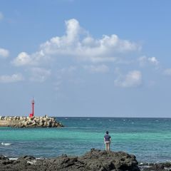 Hugely Jeju User Photo