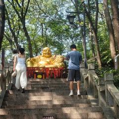 Qisu Court User Photo