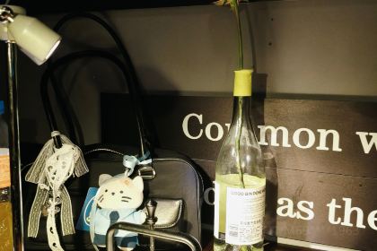 SAN ZHI YANG SHAO KAO CHENG