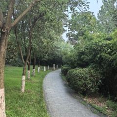 金地肥牛府(秀水街店) User Photo