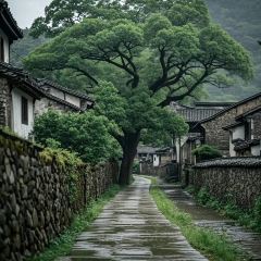 江南小鎮(華潤小徑灣店)張用戶圖片